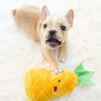 ZippyPaws NomNomz Plush Pineapple Dog Toy (Plush Toy) Online now