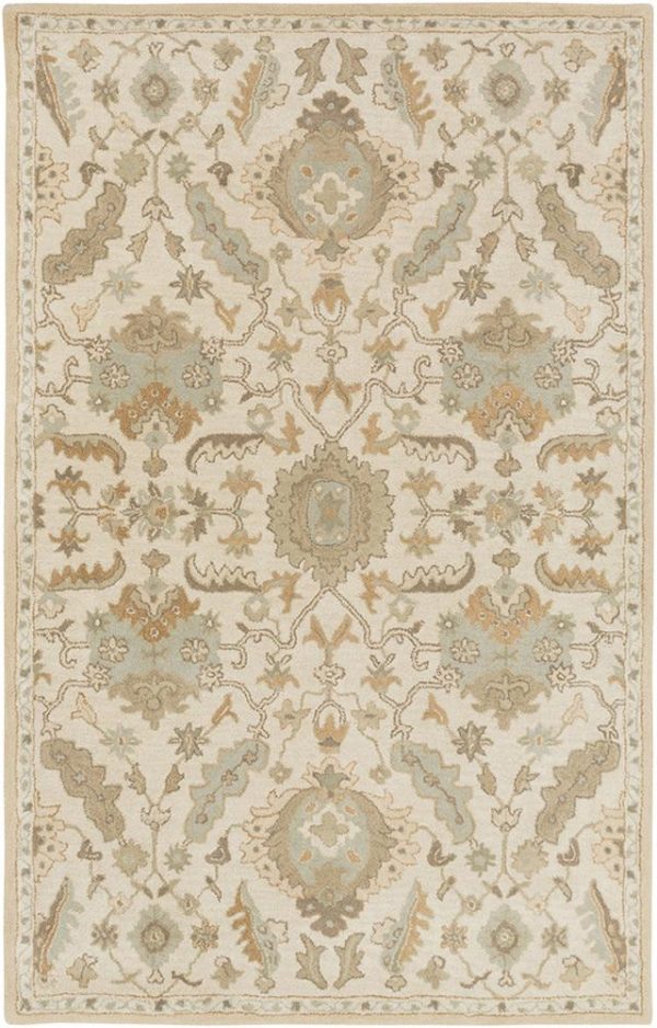 Surya Caesar 2  X 4  Hearth Area Rug Online now