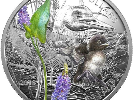 RDC 2016 Canada $20 Baby Animals - Common Loon Fine Silver (No Tax) scratch For Discount