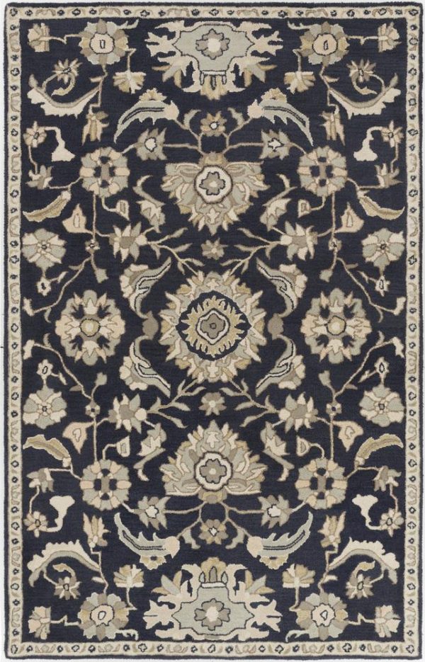 Surya Caesar 2  X 4  Hearth Area Rug on Sale