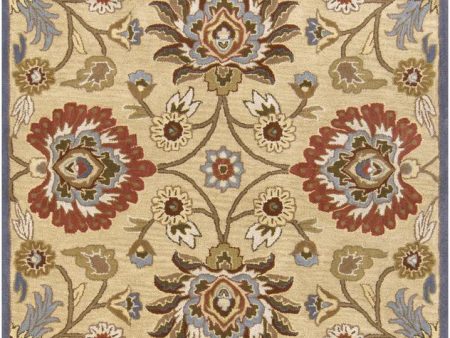 Surya Caesar 8  Round Area Rug Online Hot Sale