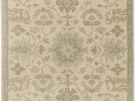 Surya Caesar 7 6  X 9 6  Area Rug Cheap