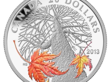 RDC 2013 $20 Canadian Maple Canopy - Autumn (#2) Fine Silver (No Tax) Impaired Online Sale