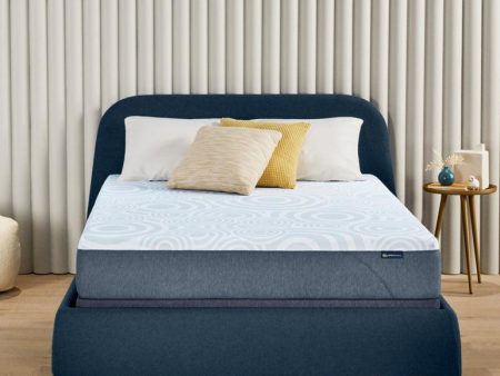 Perfect Sleeper Mattress-in-a-Box For Discount