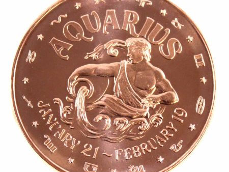 Zodiac Aquarius 1oz. .999 Fine Copper For Sale