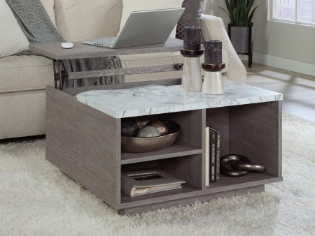 East Rock Lift Top Coffee Table Ao For Cheap