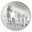 RDC 2006 Canada Sable Island Horse & Foal $5 Coin & Stamp Set (Issues) Online