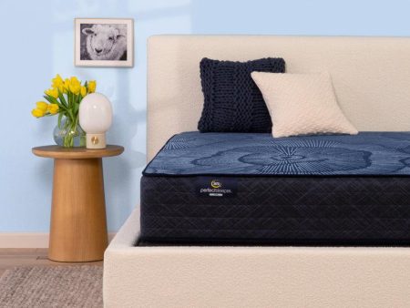 Perfect Sleeper Hybrid Mattress Online now