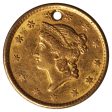 1850 USA Gold Dollar EF-AU (EF-45) Hole Online